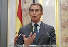 El líder del PP, Alberto Núñez Feijóo, en el Congreso