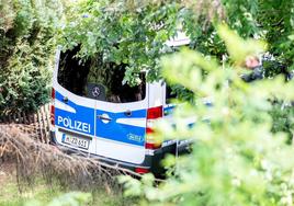 El niño asesinado fue hallado entre unos matorrales.