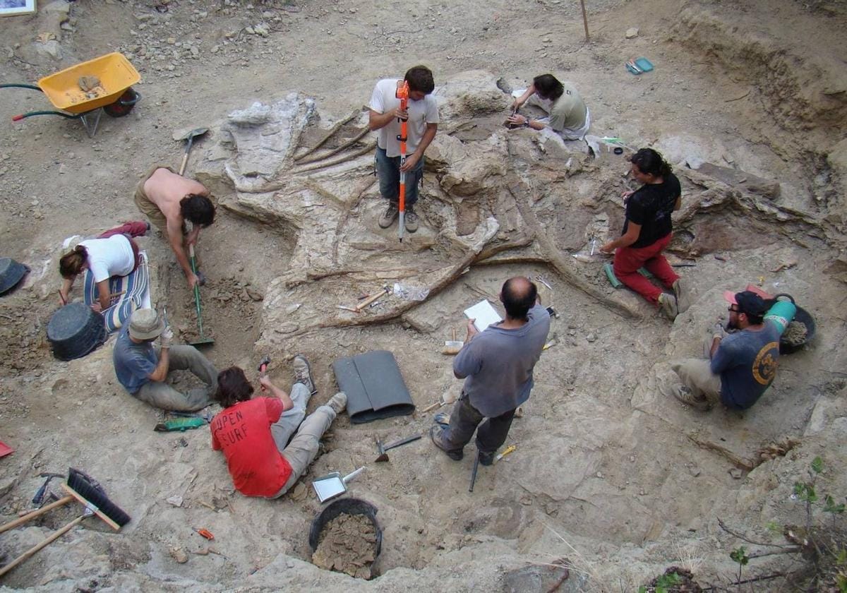 One of the largest dinosaurs found in Europe is discovered in Castellón