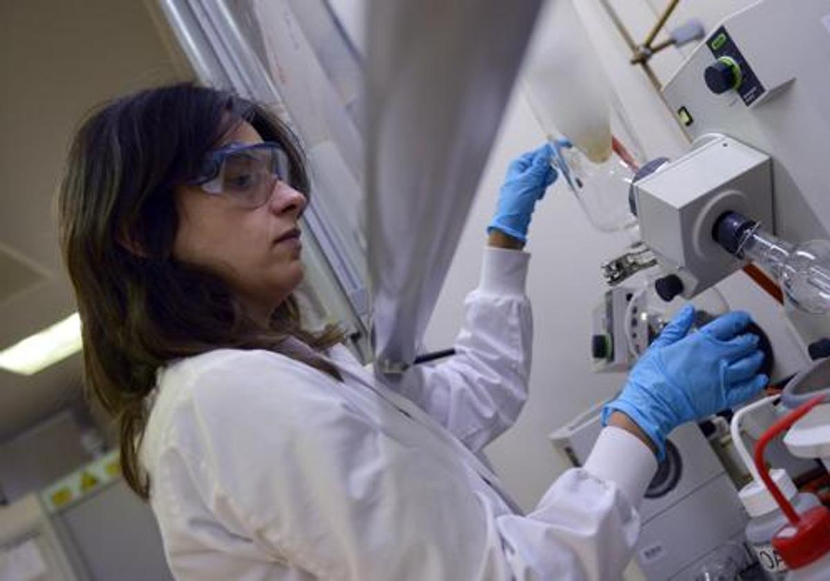 Una investigadora trabaja en el laboratorio.