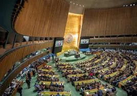 Plenario de la Asamblea General de Naciones Unidas.