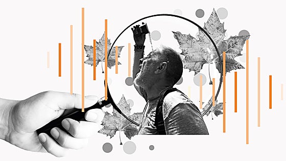 El otoño más raro, el año más caliente, el futuro más inquietante
