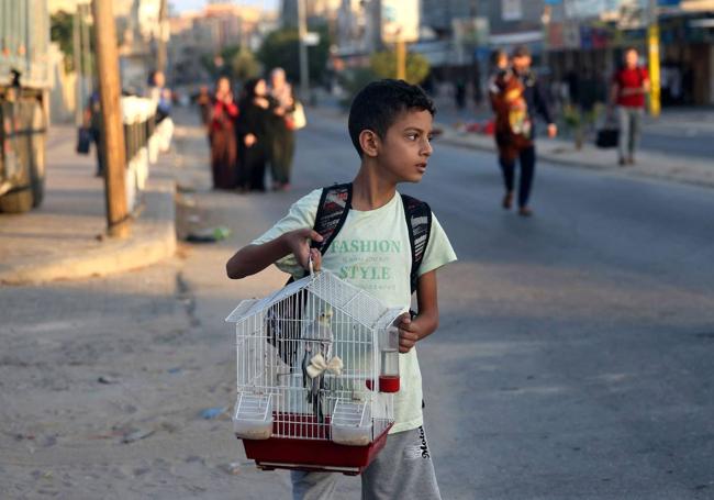 Un niño palestino huye de Gaza con su mascota.