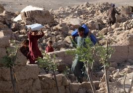 La zona de Herat resultó devastada por varios seísmos la semana pasada.