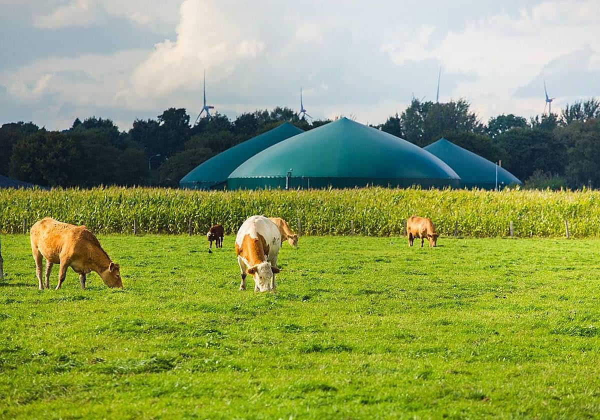 Cepsa inicia su actividad en el negocio del biometano