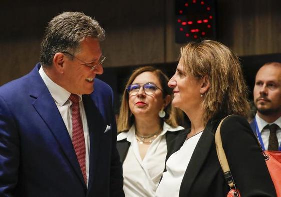 Teresa Ribera, vicepresidenta tercera del Gobierno, junto a miembros de gobiernos europeos.
