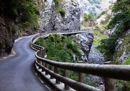 Carretera por los Picos de Europa.