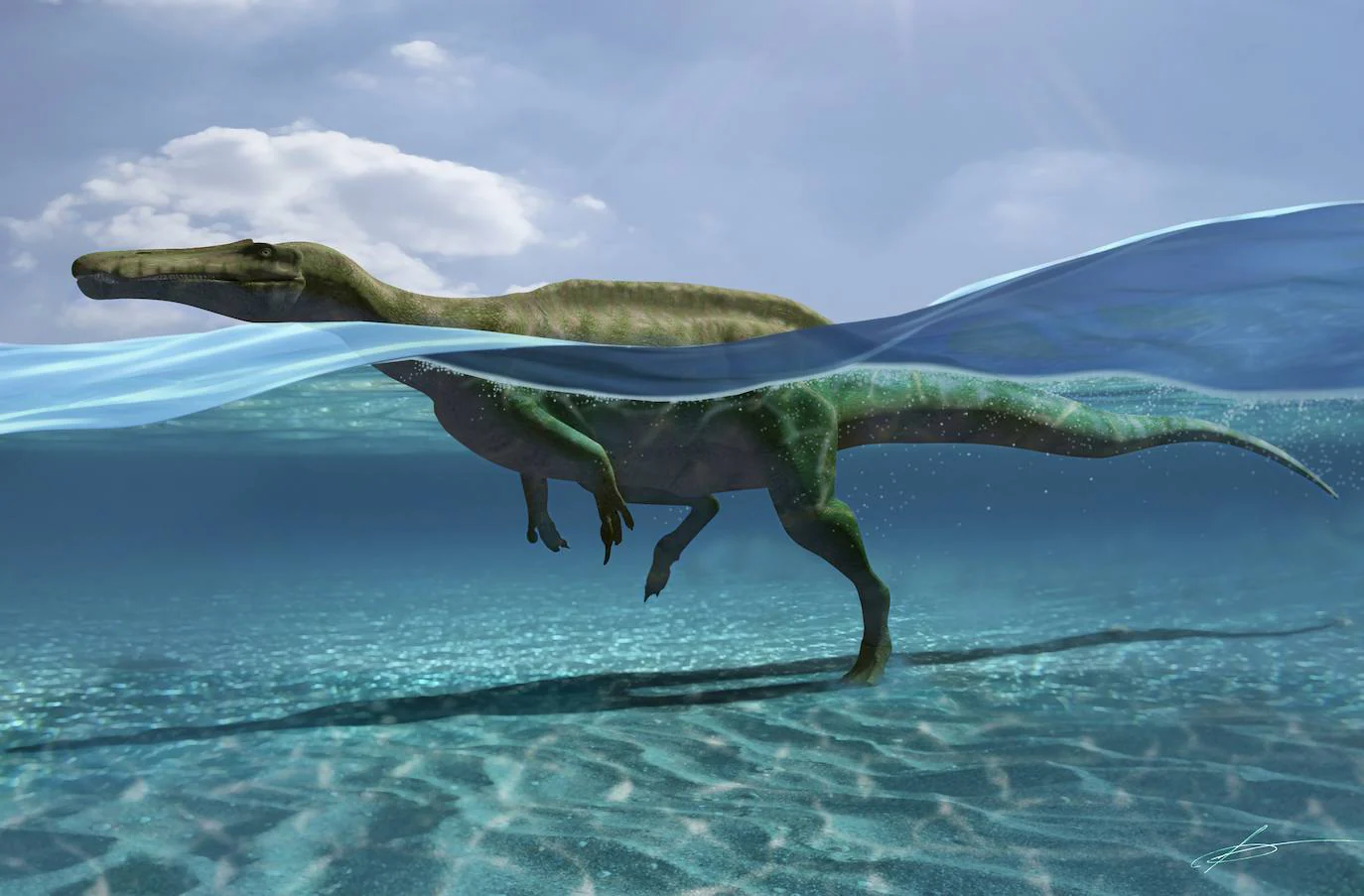 Unas huellas halladas en La Rioja revelan cómo nadaban algunos dinosaurios