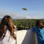 La Guardia Civil detiene a un abogado por los fuegos en El Saler