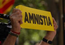 Una manifestación en favor de la amnistía.