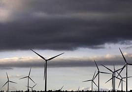 Parque eólico.