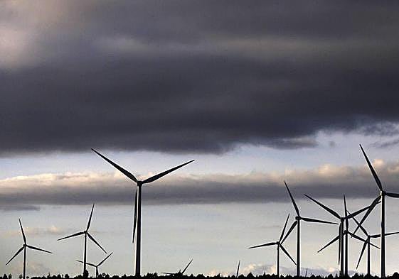 Parque eólico.