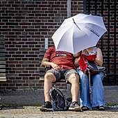 La temperatura global marca un nuevo récord de calor en los últimos 12 meses