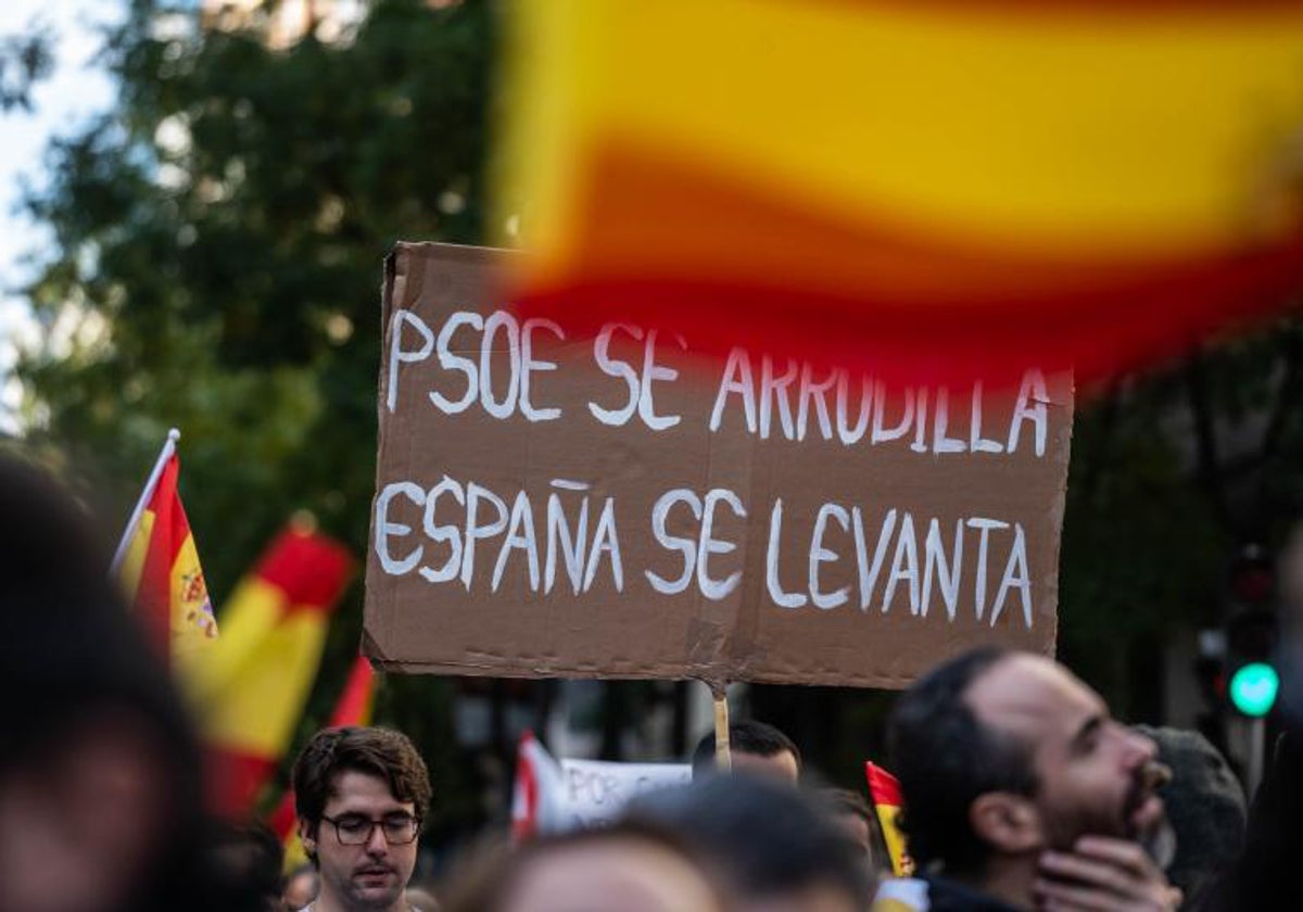 Imagen de la protesta de Madrid