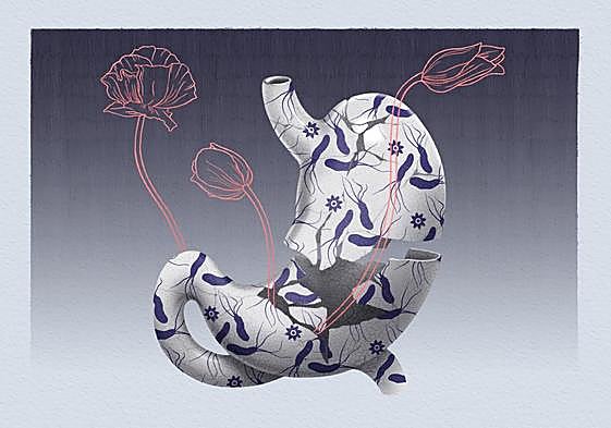 ¿Por qué todo el mundo habla del Helicobacter pylori, la bacteria de moda?