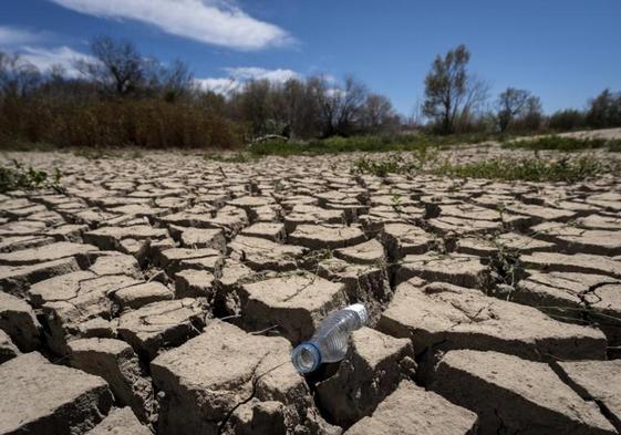 Imagen del río Muga a su paso por Peralada (Girona).