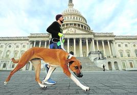 Los científicos recogen muestras de ADN para tratar de aislar el virus que, de momento, sólo ha sido detectado en perros en Estados Unidos.