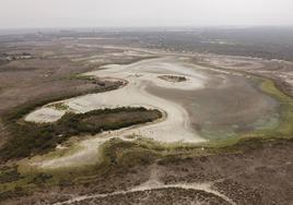 Estado el pasado agosto de Santa Olalla, la laguna más de mayor superficie de Doñana.