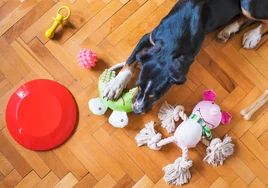 Regálales ilusión a tus mascotas  estas navidades con estos juguetes y accesorios de lo más originales