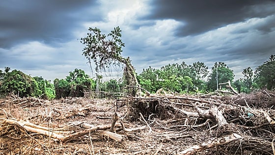 Una década de cambio climático «dramático»