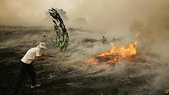 ¿Será la IA capaz de 'oler' el humo de un incendio?