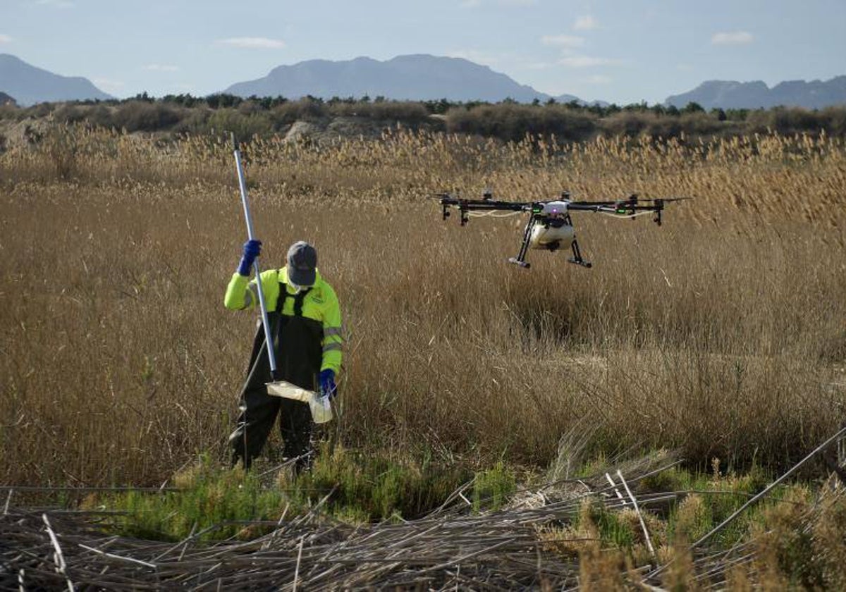 Campaña de fumigación con drones.