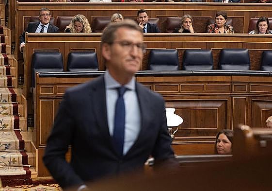 El portavos del Grupo parlamentario socialista Patxi López y el líder del Partido Popular, Alberto Núñez Feijóo.