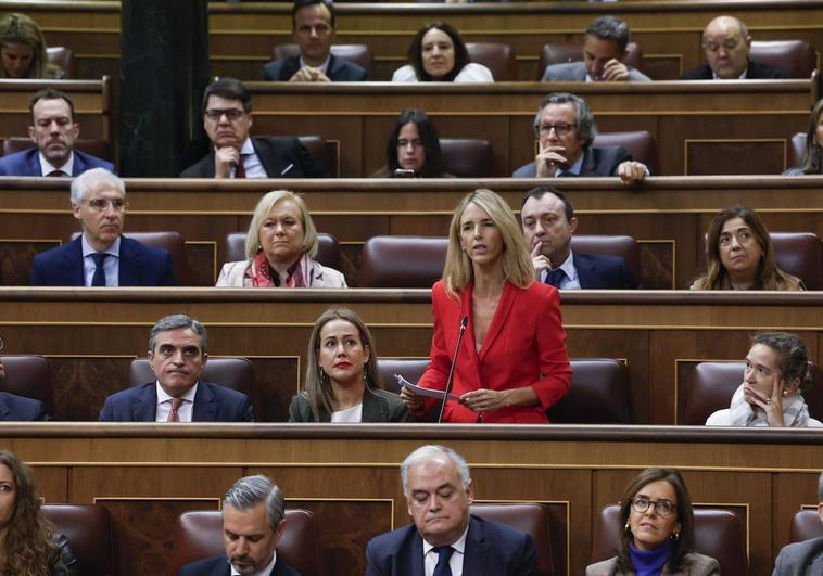 La diputada del PP Cayetana Álvarez de Toledo interviene en la sesión de control al Ejecutivo