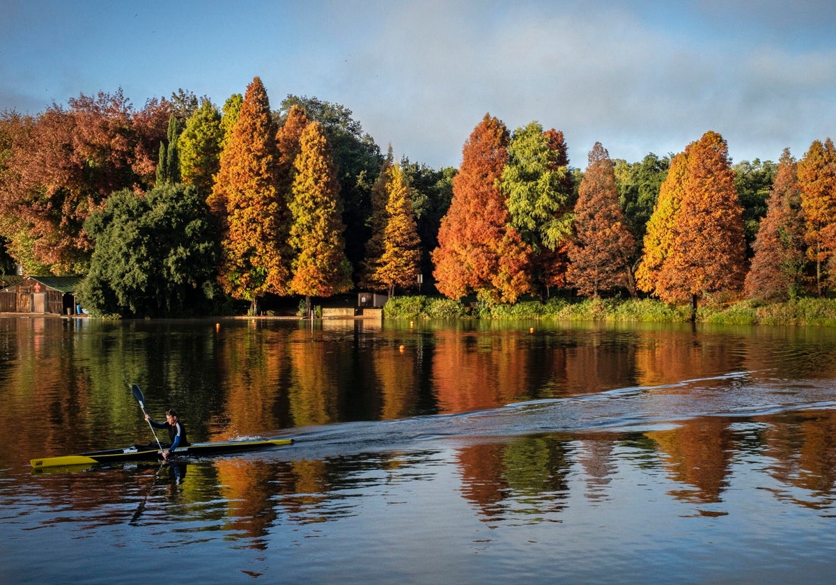 Otoño en Sudáfrica.