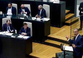 Ortega Smith interviene en el pleno del Ayuntamiento de Madrid.