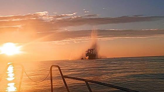 Dos heridos al colisionar un carguero panameño con una mina en el Mar Negro