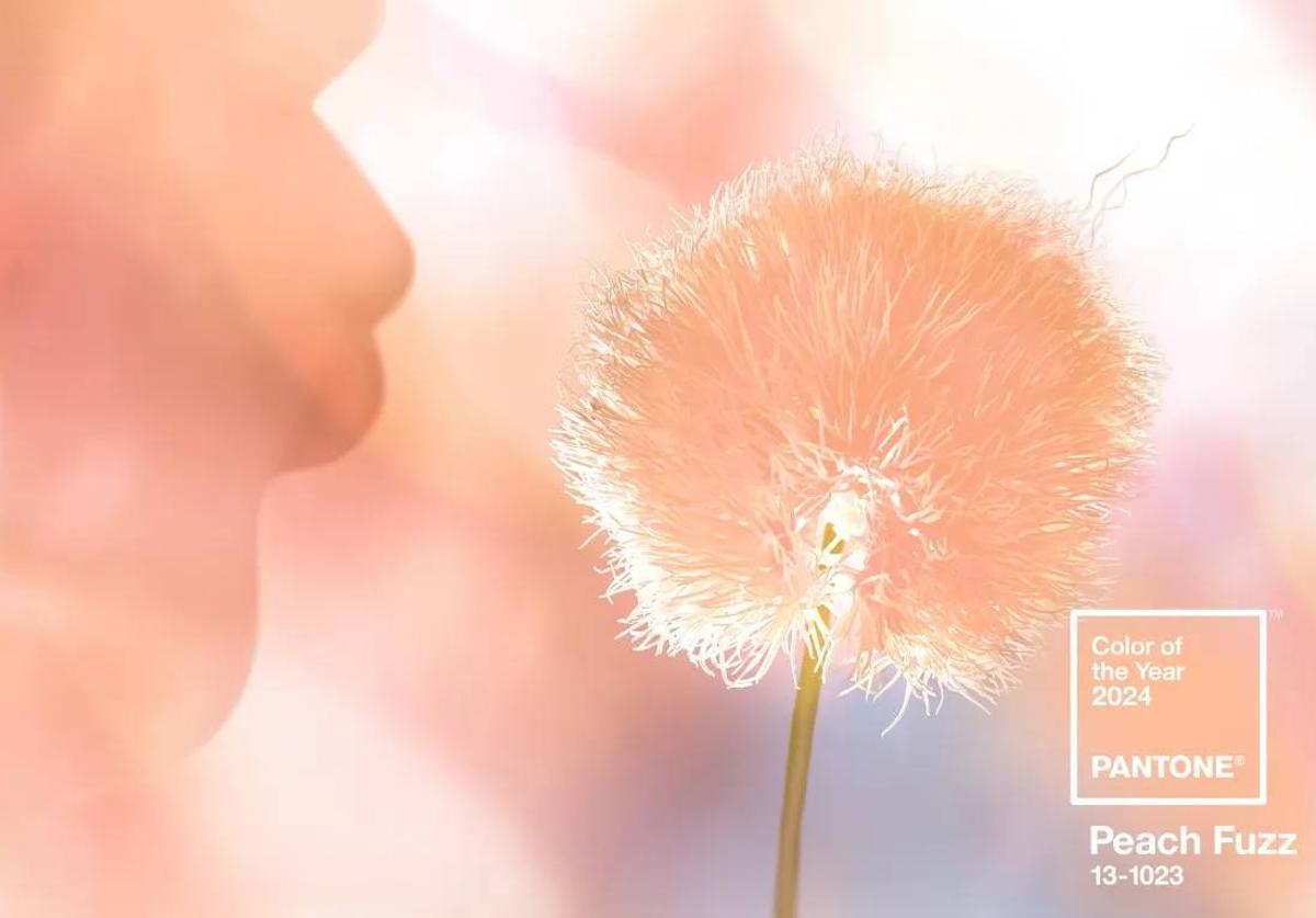 El color de 2024 según Pantone, el 'Peach Fuzz'.