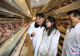El líder norcoreano, Kim Jong-un, y su hija Kim Ju Ae visitaron el domingo una nueva granja de pollos en Hwangju.