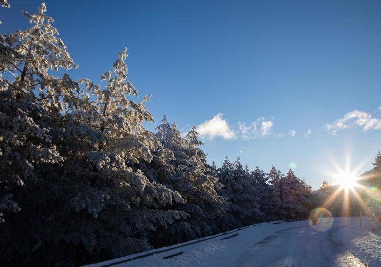 Con lluvia, nieve o hielo en la carretera conviene extremar la precaución