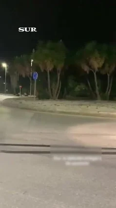 Carreras ilegales en Málaga: el derrape reiterado de un coche en plena rotonda