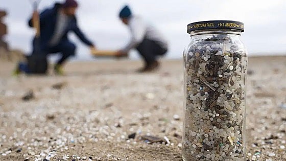 Tiktok, Whatsapp e Instagram para limpiar las playas de pélets