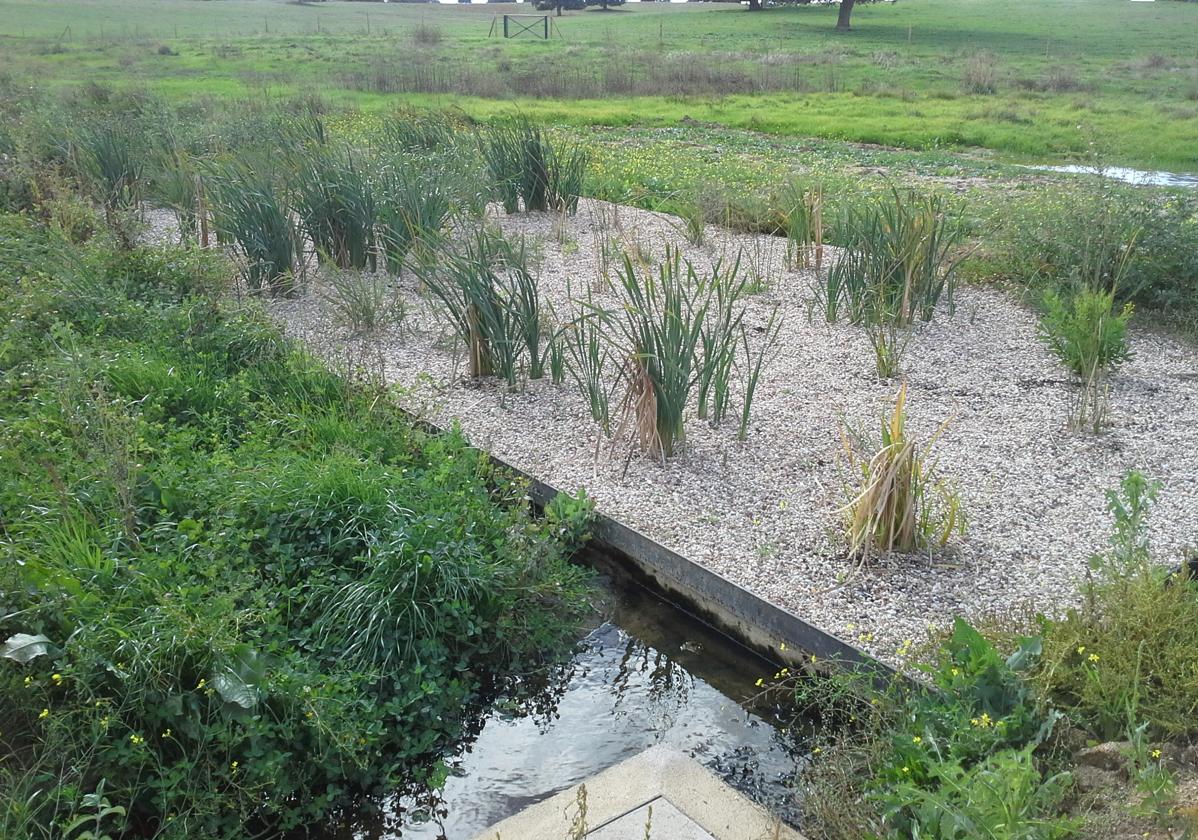 Plantas para recuperar las aguas residuales