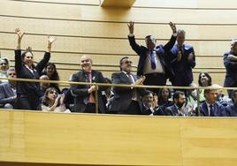 Invitados al pleno del Congreso celebran el resultado de la votación.