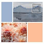 Un repaso a los colores Pantone del año: del 'Cerulean' al 'Peach Fuzz'