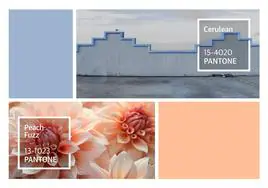 Un repaso a los colores Pantone del año: del 'Cerulean' al 'Peach Fuzz'