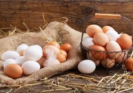 Los sorprendentes usos biomédicos de la cáscara de huevo