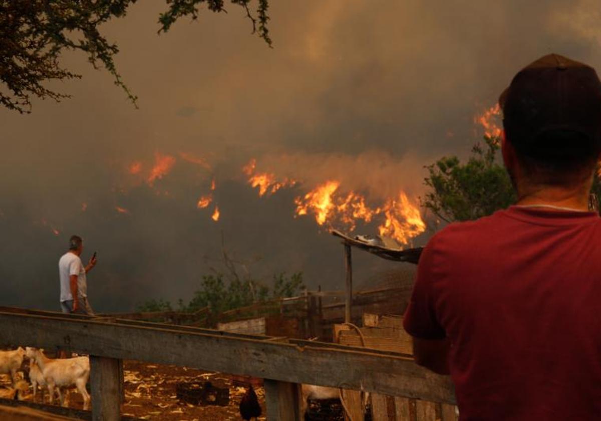 Así son los incendios forestales que devoran el centro de Chile