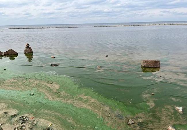 Embalse de Kyiv, en Ucrania, donde se observa la proliferación de algas como parte del proceso de eutrofización por contaminación de nitratos.