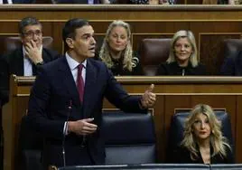 Pedro Sánchez responde a las preguntas de los diputados en la sesión de control al Gobierno.
