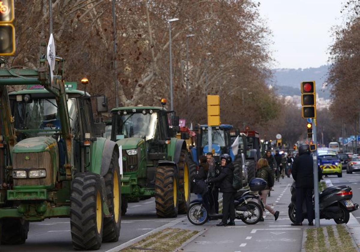 Decenas de agricultores con sus tractores que han pernoctado en Barcelona continúan esta mañana en la Ciudad y se dirigen al Parlament.