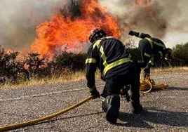 Efectivos de bomberos trabajan en la extinción de un incendio forestal.