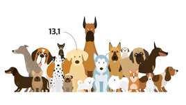 Cuánto vive cada raza de perro
