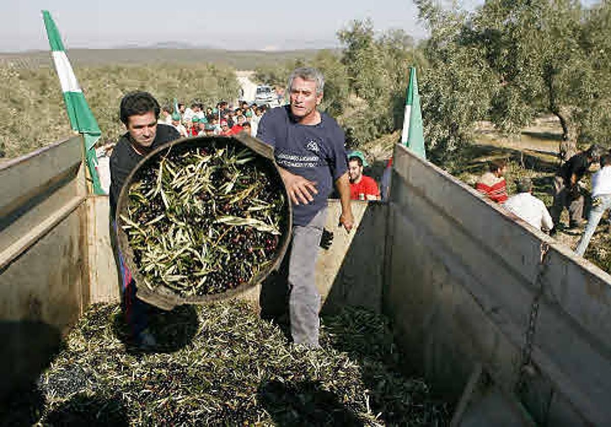 Trabajadores del campo.