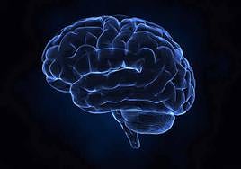 Imagen de un cerebro