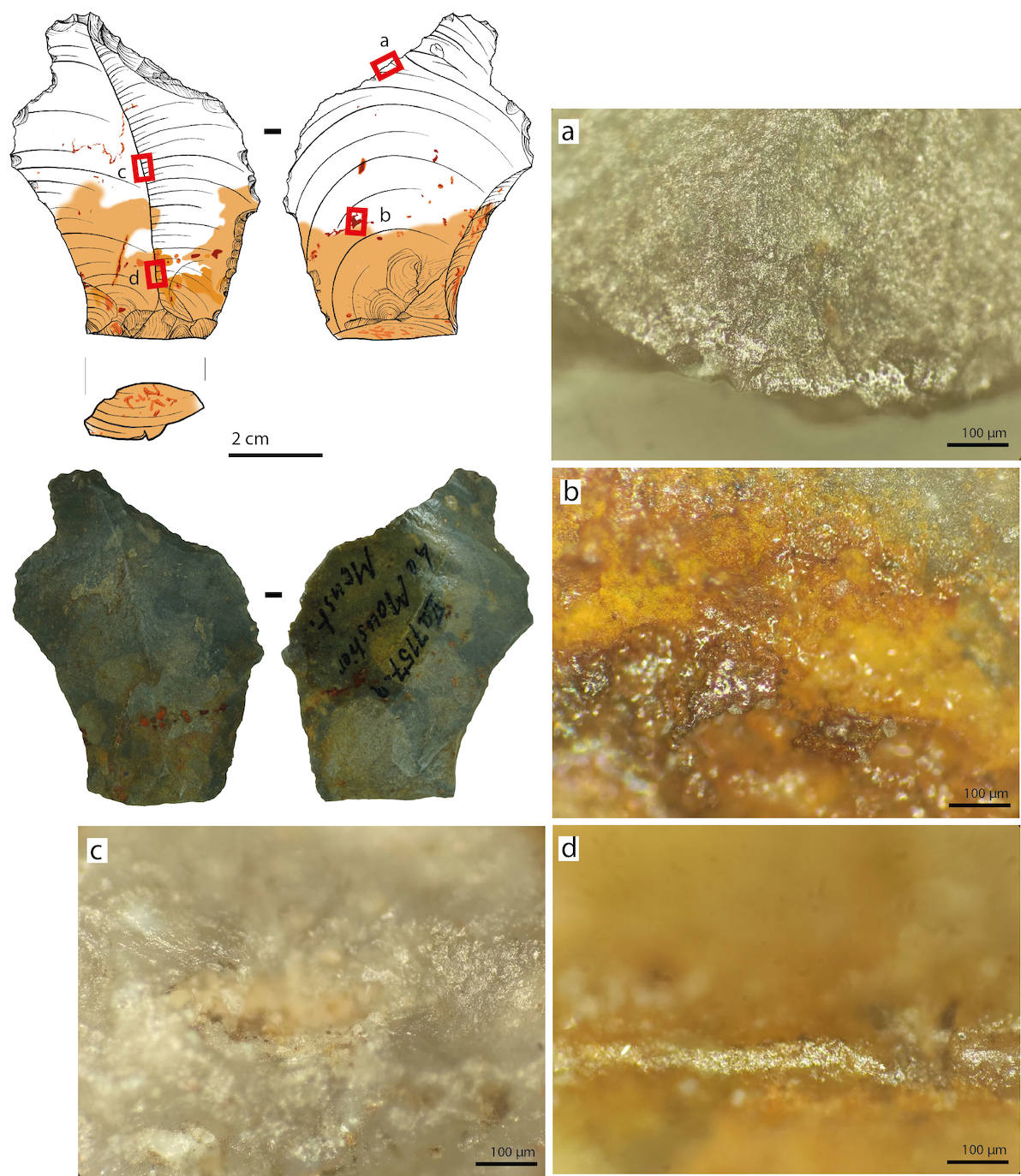 Las imágenes del desgaste de las herramientas que demuestran el uso de pegamento por los neandertales.